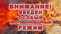 В Ленинградской области введен особый противопожарный режим